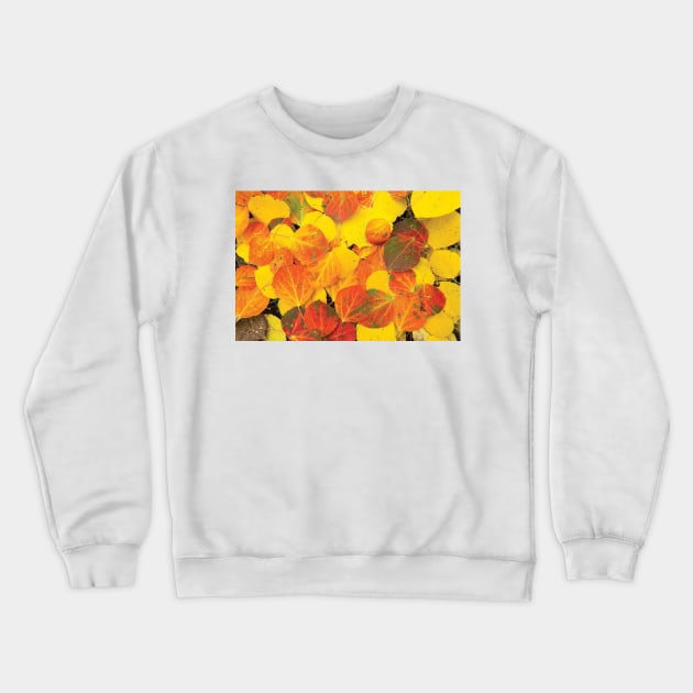 Close Up Of Fallen Leaves Maroon Bells Maroon Creek Valley Crewneck Sweatshirt by HammiltenJohn